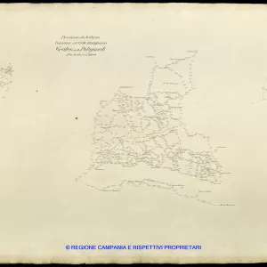 Grafico delle Poligonali