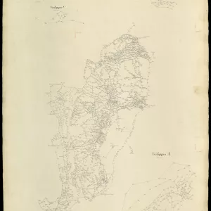 Grafico delle Poligonali