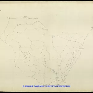 Grafico delle Poligonali