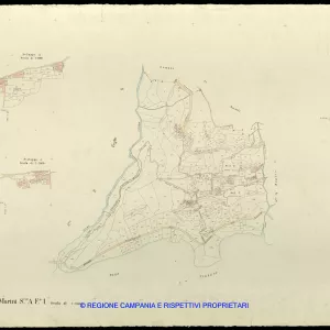 Grafico delle Poligonali