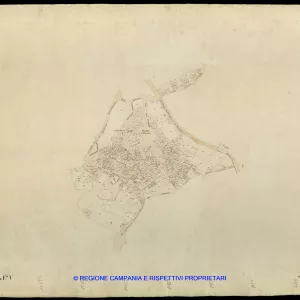 Grafico delle Poligonali