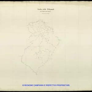 Grafico delle Poligonali