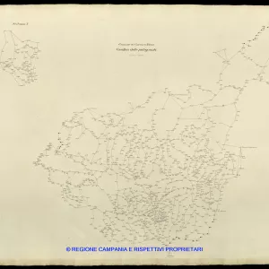Grafico delle Poligonali