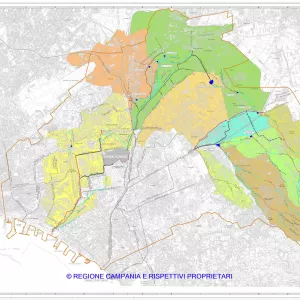 CONSORZIO DI BONIFICA DELLE PALUDI DI NAPOLI E VOLLA