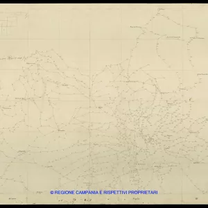 Grafico delle Poligonali