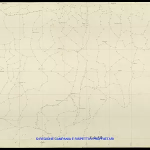 Grafico delle Poligonali