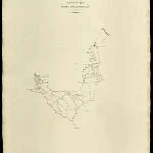 Grafico delle Poligonali