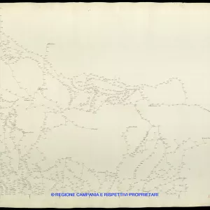 Grafico delle Poligonali