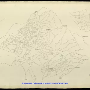Grafico delle Poligonali