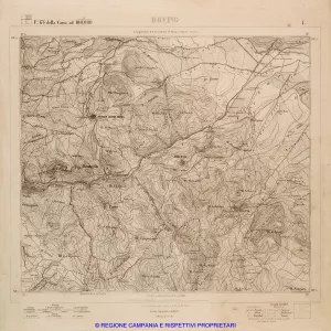 Bovino