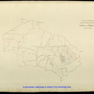 Grafico delle Poligonali