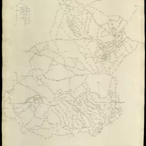 Grafico delle Poligonali