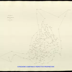 Grafico delle Poligonali