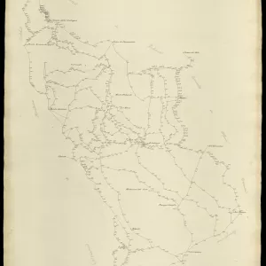 Grafico delle Poligonali