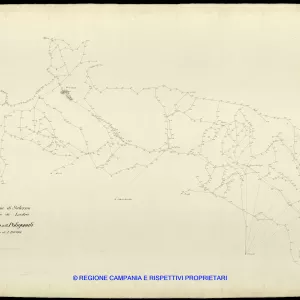 Grafico delle Poligonali