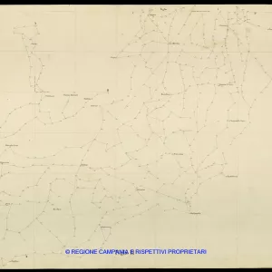 Grafico delle Poligonali