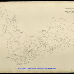 Grafico delle Poligonali