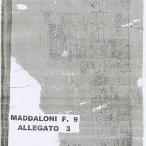 Allegati