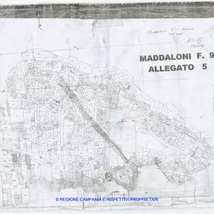 Allegati