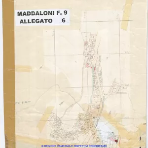 Allegati