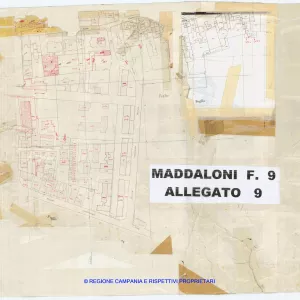 Allegati