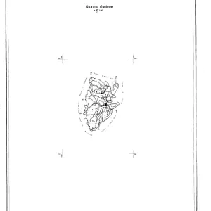 Quadro di Unione