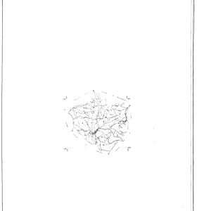 Quadro di Unione
