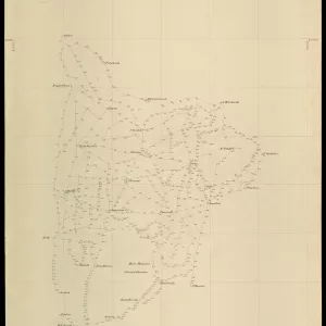 Grafico delle Poligonali