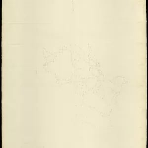 Grafico delle Poligonali