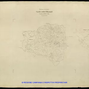 Grafico delle Poligonali