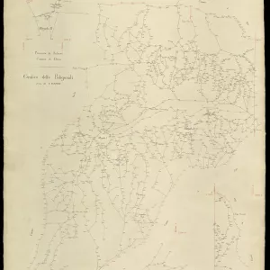 Grafico delle Poligonali