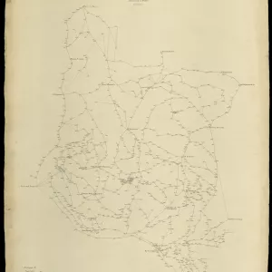 Grafico delle Poligonali