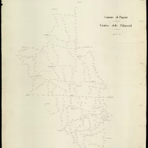 Grafico delle Poligonali