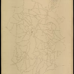 Grafico delle Poligonali