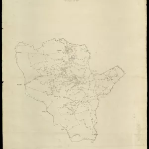 Grafico delle Poligonali