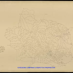 Grafico delle Poligonali