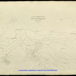 Grafico delle Poligonali