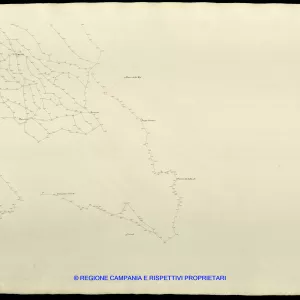 Grafico delle Poligonali