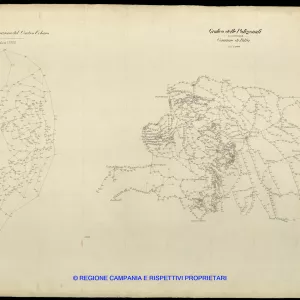 Grafico delle Poligonali