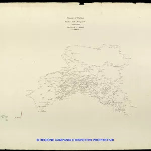 Grafico delle Poligonali