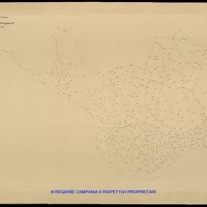 Grafico delle Poligonali