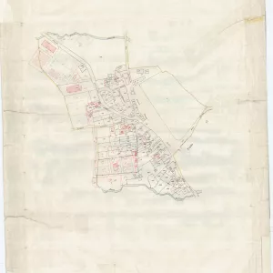 Allegati