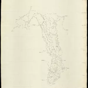 Grafico delle Poligonali