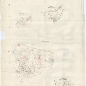 Allegati