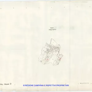 Allegati