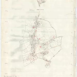 Allegati
