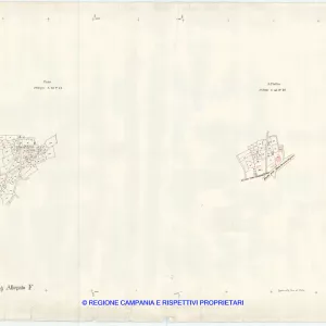 Allegati