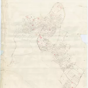 Allegati