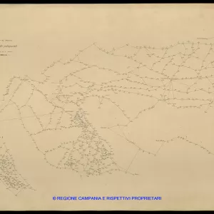 Grafico delle Poligonali
