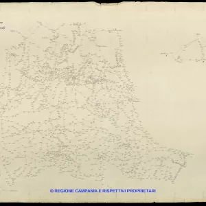 Grafico delle Poligonali